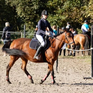 Hubertus 2019 - cz. III - konkurs skoków 50 cm (fot. Piotr Kawula)