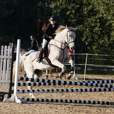 Hubertus 2019 - cz. II - konkurs skoków 70 cm (fot. Piotr Kawula)