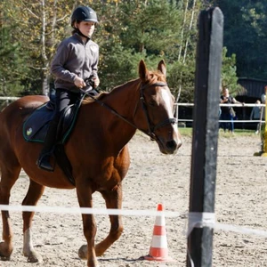 Hubertus 2019 - cz. IV - konkurs podskoków 20 cm (fot. Piotr Kawula)