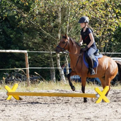 Hubertus 2019 - cz. IV - konkurs podskoków 20 cm (fot. Piotr Kawula)