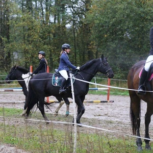 Hubertus 2017 - cz. 2 (Fot. Joanna Wypiór)