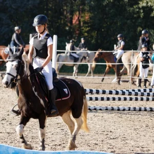 Hubertus 2019 - cz. III - konkurs skoków 50 cm (fot. Piotr Kawula)