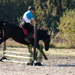 Hubertus 2019 - cz. III - konkurs skoków 50 cm (fot. Piotr Kawula)