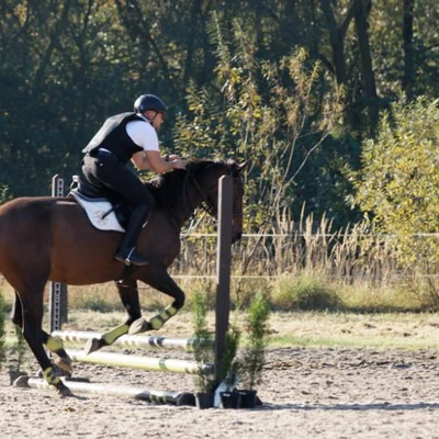 Hubertus 2019 - cz. III - konkurs skoków 50 cm (fot. Piotr Kawula)