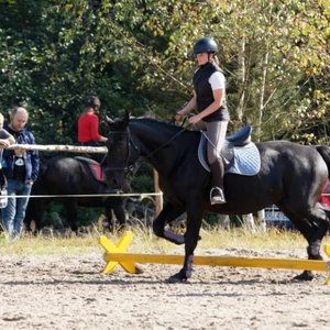 Hubertus 2019 - cz. IV - konkurs podskoków 20 cm (fot. Piotr Kawula)