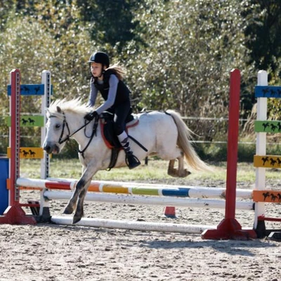 Hubertus 2019 - cz. III - konkurs skoków 50 cm (fot. Piotr Kawula)