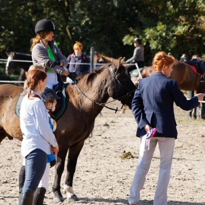 Hubertus 2019 - cz. III - konkurs skoków 50 cm (fot. Piotr Kawula)