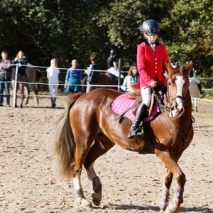 Hubertus 2019 - cz. III - konkurs skoków 50 cm (fot. Piotr Kawula)