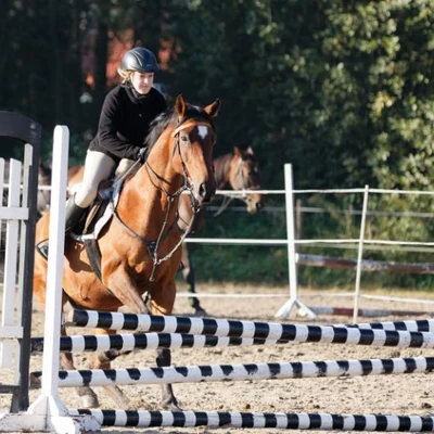 Hubertus 2019 - cz. II - konkurs skoków 70 cm (fot. Piotr Kawula)