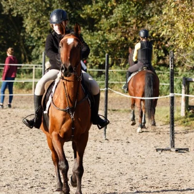 Hubertus 2019 - cz. II - konkurs skoków 70 cm (fot. Piotr Kawula)