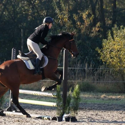 Hubertus 2019 - cz. II - konkurs skoków 70 cm (fot. Piotr Kawula)