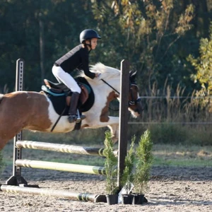 Hubertus 2019 - cz. II - konkurs skoków 70 cm (fot. Piotr Kawula)