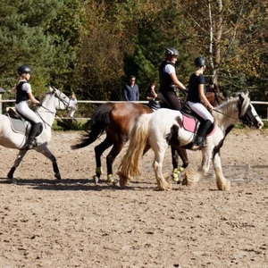 Hubertus 2019 - cz. VII - pogoń za lisem o puchar Dziekana (fot. Piotr Kawula)