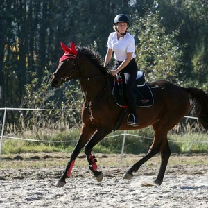 Hubertus 2018 - cz. IV (Fot. Patrycja Dawid)