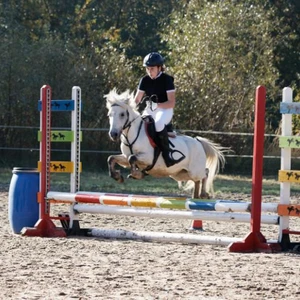 Hubertus 2019 - cz. III - konkurs skoków 50 cm (fot. Piotr Kawula)