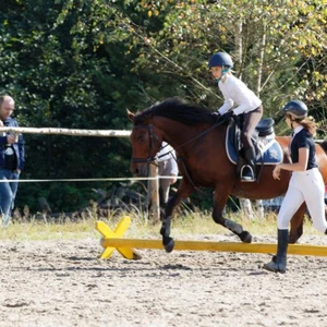 Hubertus 2019 - cz. IV - konkurs podskoków 20 cm (fot. Piotr Kawula)