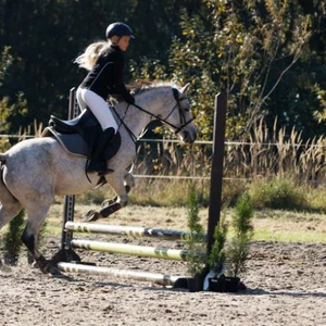 Hubertus 2019 - cz. III - konkurs skoków 50 cm (fot. Piotr Kawula)