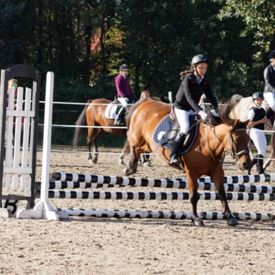 Hubertus 2019 - cz. III - konkurs skoków 50 cm (fot. Piotr Kawula)