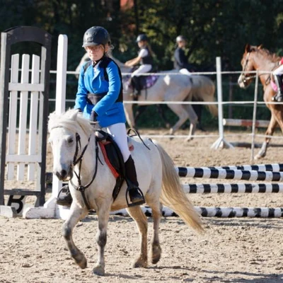 Hubertus 2019 - cz. III - konkurs skoków 50 cm (fot. Piotr Kawula)