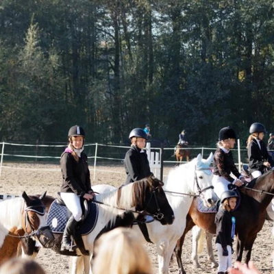 Hubertus 2019 - cz. II - konkurs skoków 70 cm (fot. Piotr Kawula)