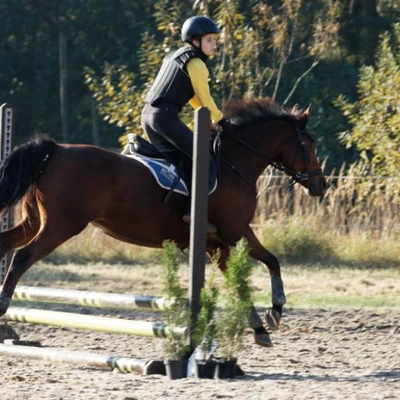 Hubertus 2019 - cz. III - konkurs skoków 50 cm (fot. Piotr Kawula)