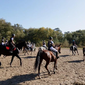 Hubertus 2019 - cz. VII - pogoń za lisem o puchar Dziekana (fot. Piotr Kawula)