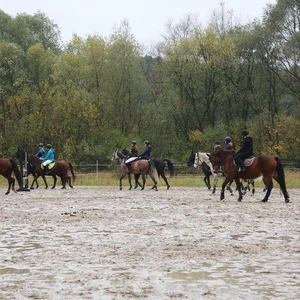 Hubertus 2017 - cz. 2 (Fot. Joanna Wypiór)