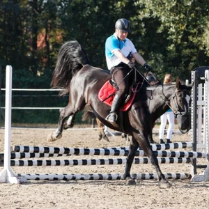 Hubertus 2019 - cz. III - konkurs skoków 50 cm (fot. Piotr Kawula)