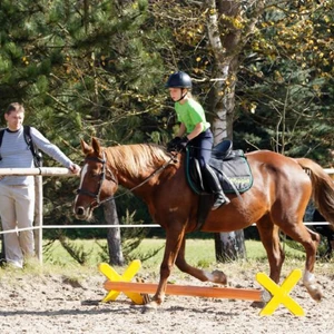 Hubertus 2019 - cz. IV - konkurs podskoków 20 cm (fot. Piotr Kawula)