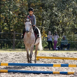 Hubertus 2019 - cz. IV - konkurs podskoków 20 cm (fot. Piotr Kawula)