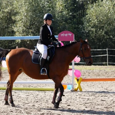 Hubertus 2019 - cz. III - konkurs skoków 50 cm (fot. Piotr Kawula)