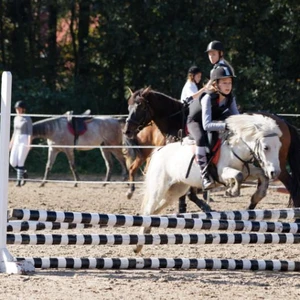 Hubertus 2019 - cz. III - konkurs skoków 50 cm (fot. Piotr Kawula)