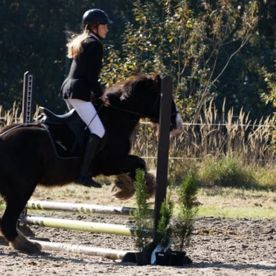 Hubertus 2019 - cz. III - konkurs skoków 50 cm (fot. Piotr Kawula)