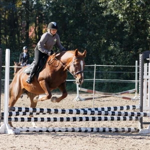 Hubertus 2019 - cz. III - konkurs skoków 50 cm (fot. Piotr Kawula)