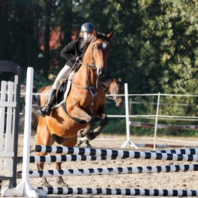 Hubertus 2019 - cz. II - konkurs skoków 70 cm (fot. Piotr Kawula)