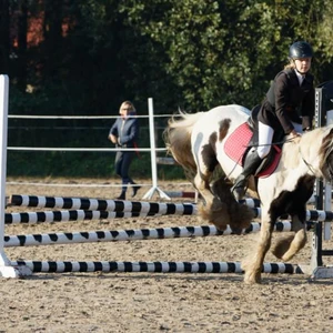 Hubertus 2019 - cz. II - konkurs skoków 70 cm (fot. Piotr Kawula)