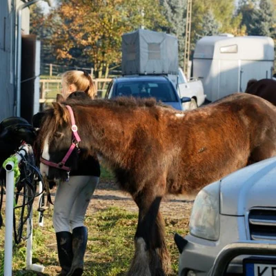 Hubertus 2019 - cz. V (fot. Piotr Kawula)