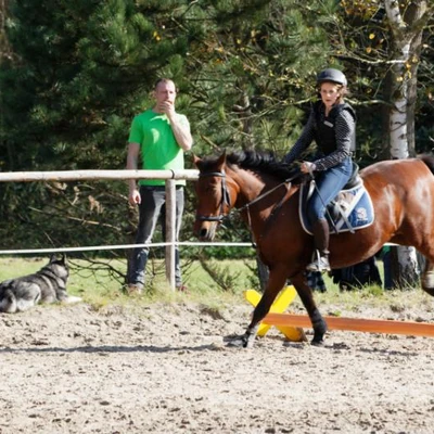 Hubertus 2019 - cz. IV - konkurs podskoków 20 cm (fot. Piotr Kawula)