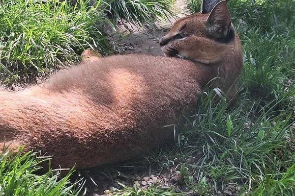 Zajęcia terenowe - ogrody zoologiczne w Wiedniu_9