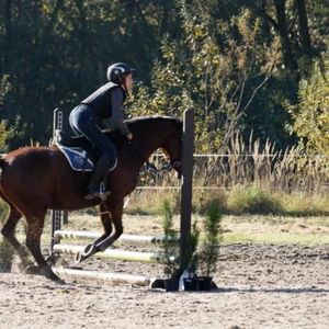 Hubertus 2019 - cz. III - konkurs skoków 50 cm (fot. Piotr Kawula)