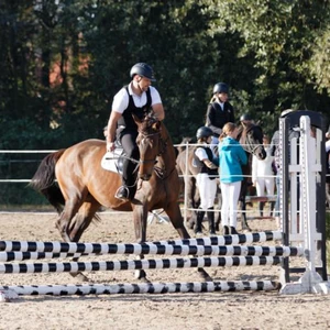 Hubertus 2019 - cz. III - konkurs skoków 50 cm (fot. Piotr Kawula)