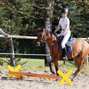 Hubertus 2019 - cz. IV - konkurs podskoków 20 cm (fot. Piotr Kawula)