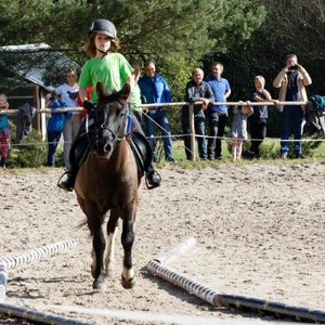 Hubertus 2019 - cz. IV - konkurs podskoków 20 cm (fot. Piotr Kawula)