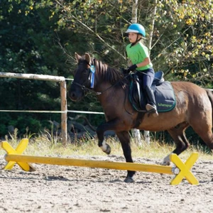 Hubertus 2019 - cz. IV - konkurs podskoków 20 cm (fot. Piotr Kawula)