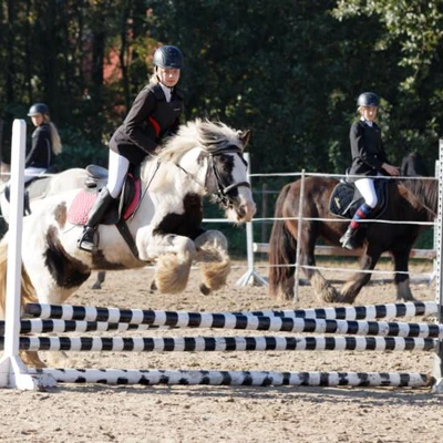 Hubertus 2019 - cz. III - konkurs skoków 50 cm (fot. Piotr Kawula)