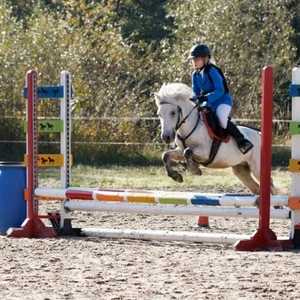 Hubertus 2019 - cz. III - konkurs skoków 50 cm (fot. Piotr Kawula)