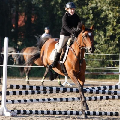 Hubertus 2019 - cz. II - konkurs skoków 70 cm (fot. Piotr Kawula)