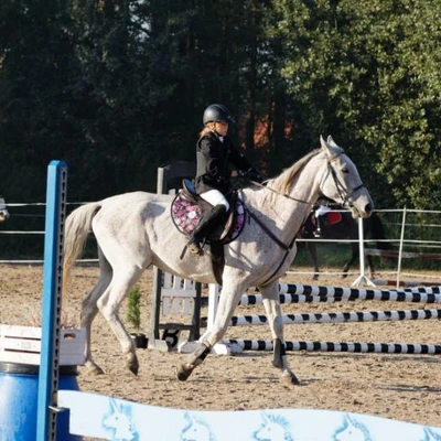 Hubertus 2019 - cz. II - konkurs skoków 70 cm (fot. Piotr Kawula)